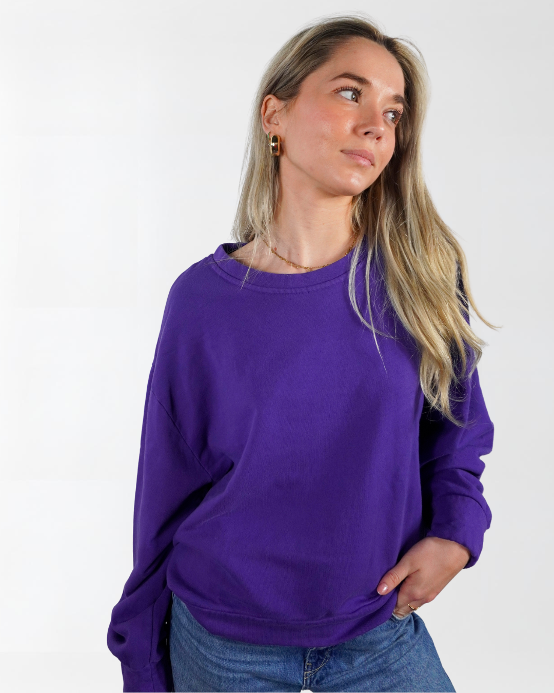 Sweat-shirt Raphaël - Marie île de Ré